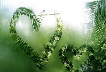 爱游戏中国-德国队轻取马来西亚队，黄鸭组合关键制胜