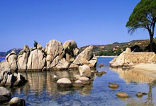 爱游戏中国-德国队轻取马来西亚队，黄鸭组合关键制胜