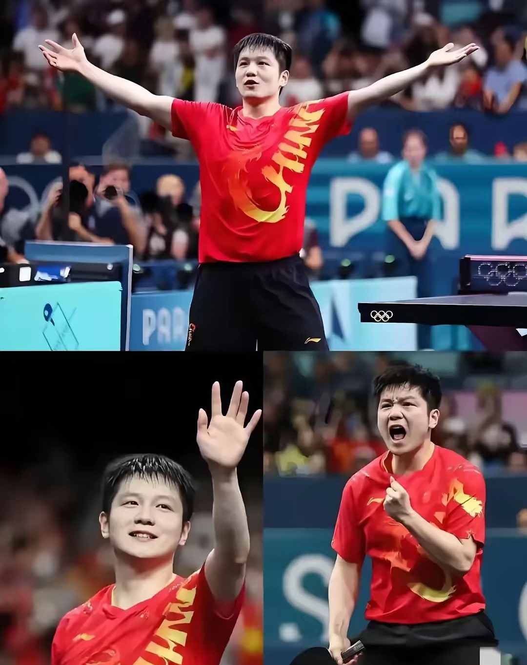 法国队绝杀德国队，樊振东刷新纪录