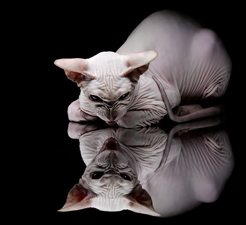 浓眉彻底打爆防线，老鹰速胜国王，一场攻防失衡的战术解析